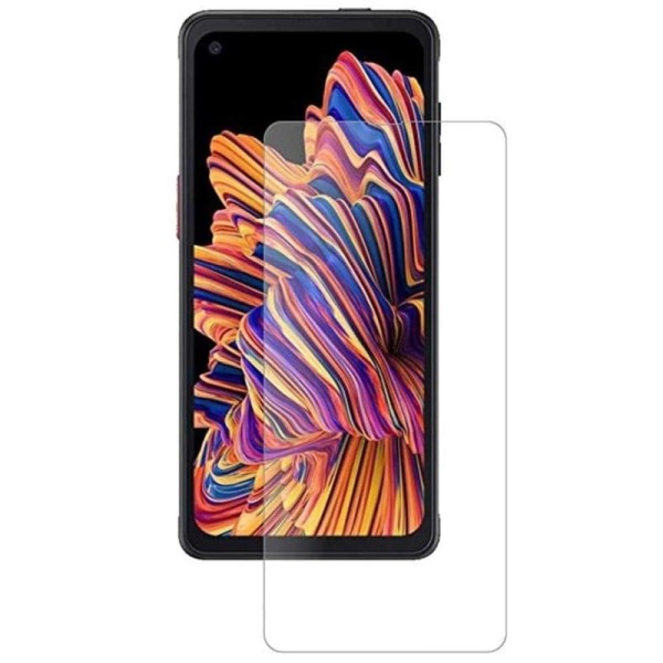 „2.5D“ apsauginių ekrano stiklų (pilnai dengiančių) komplektas - skaidrūs (Galaxy Xcover Pro)