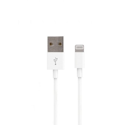 Apple iPhone Lightning 2 metrų USB laidas skirtas iPad, iPod | Priedai.lt